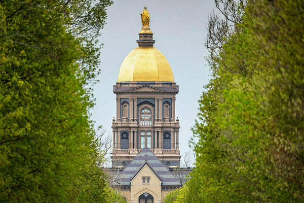 Main Building framed by Notre Dame Avenue trees. Photo by Matt Cashore/University of Notre Dame.